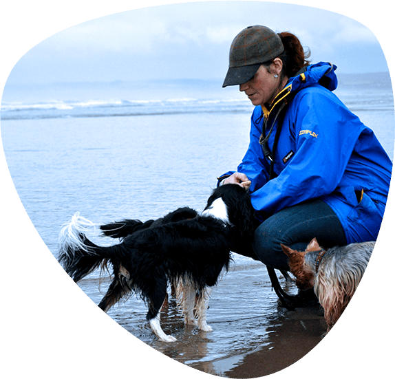 Paws & Claws About Us Jules