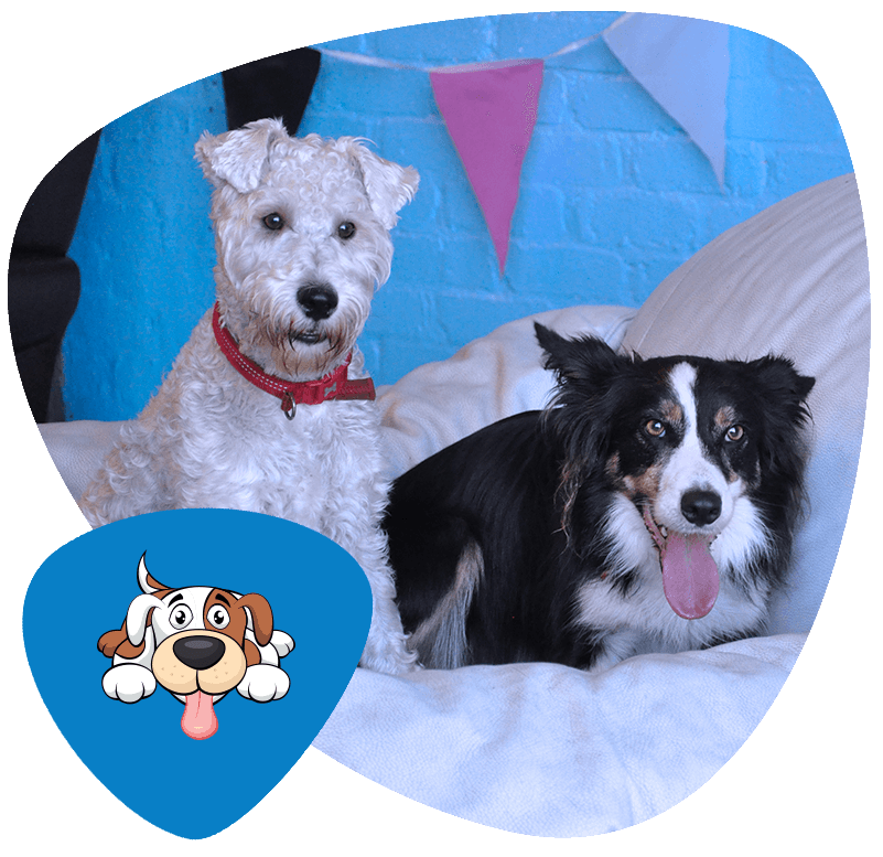 Paws & Claws Day Care Service