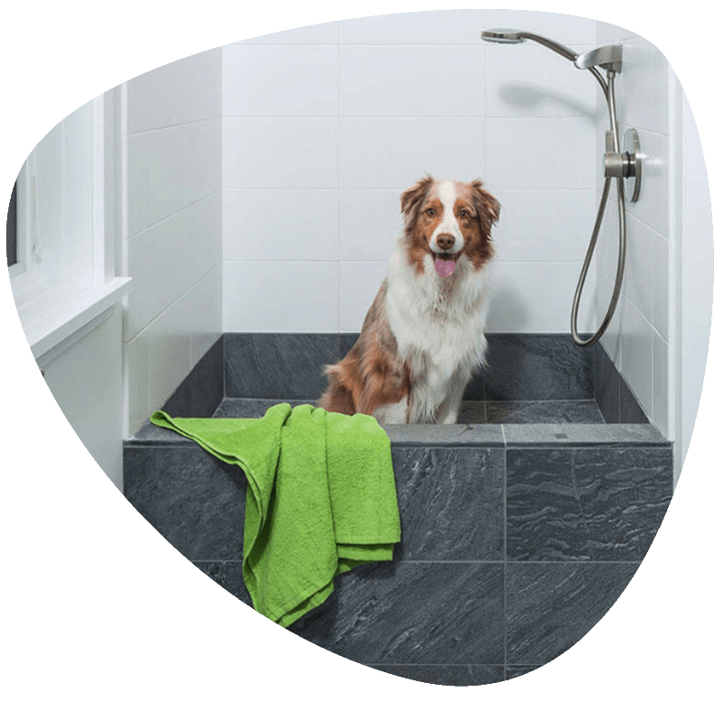 Paws & Claws Doggy Day Care Centre