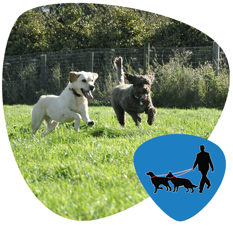 Paws & Claws Walking Centre Services